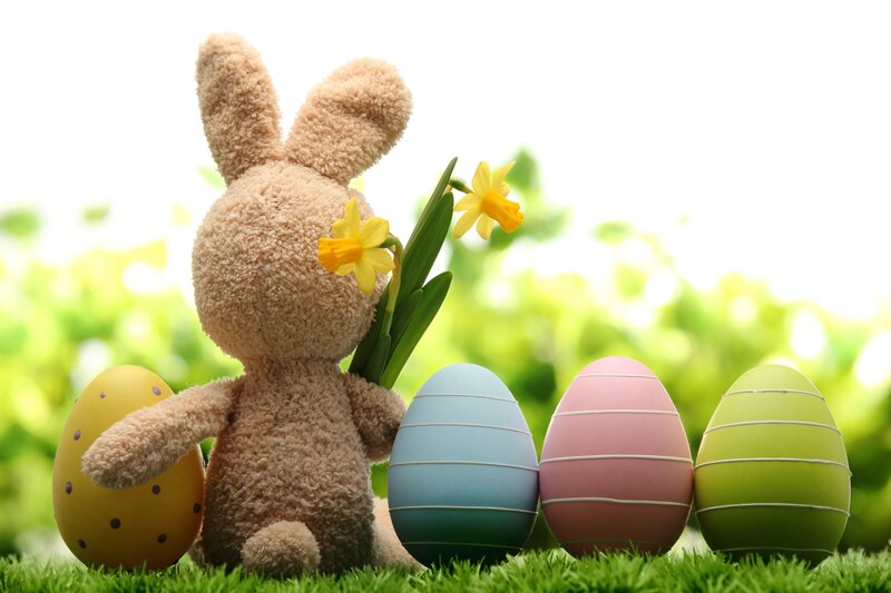 Stuffed Bunny with Eggs — Green, Serene