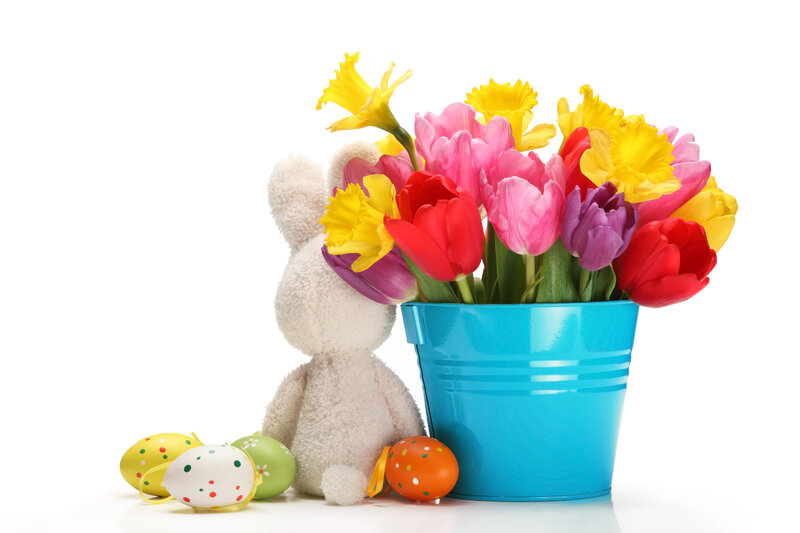 Stuffed Bunny with Flowers