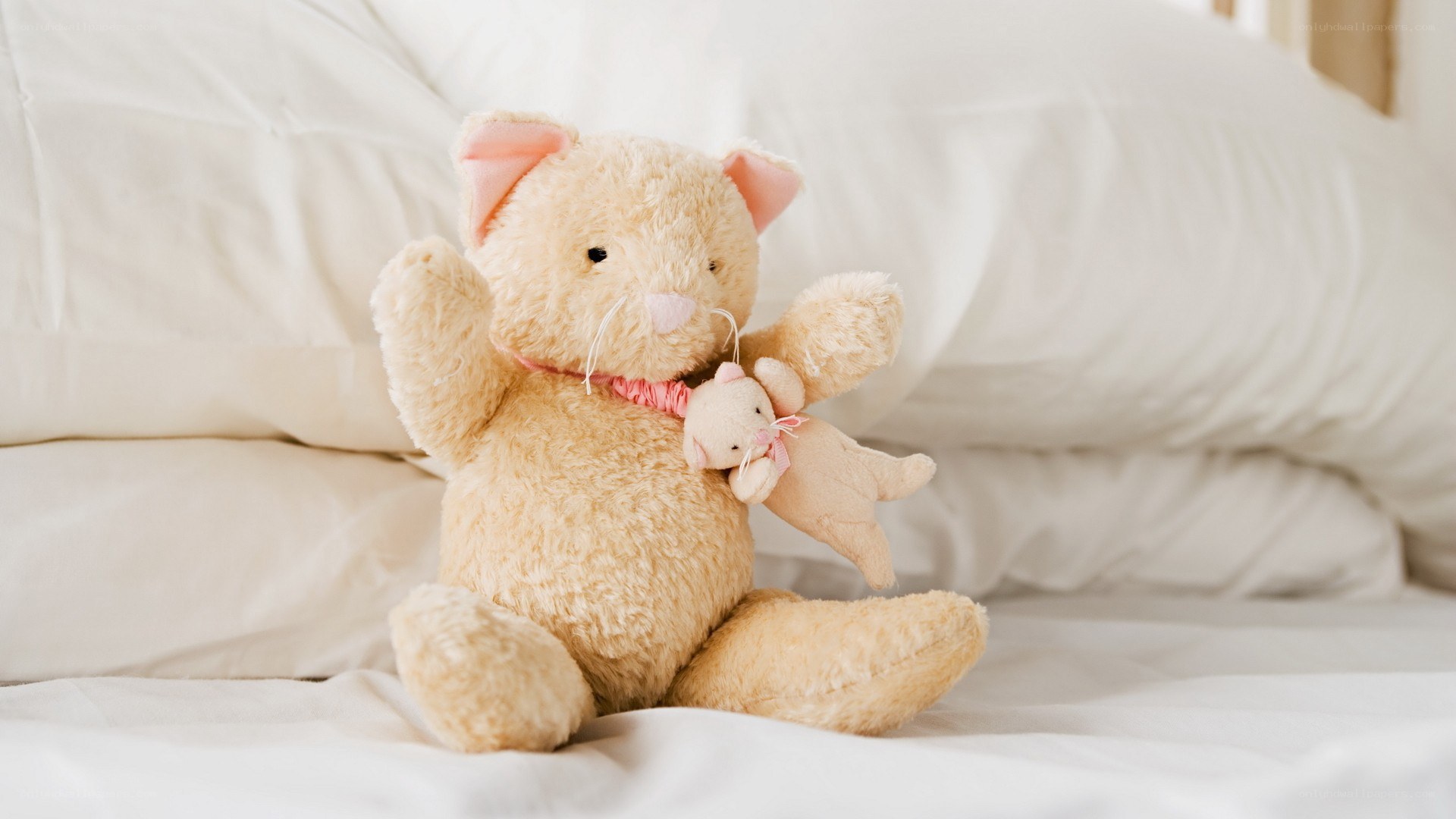 Stuffed cat holding a baby toy