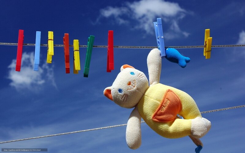 Stuffed Cat on Clothesline — Blue, Serene