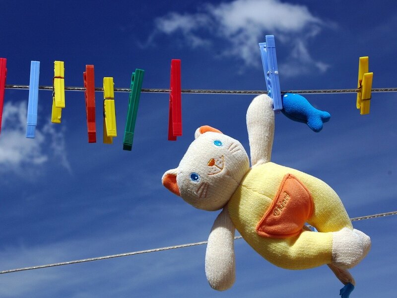 Stuffed Cat on Clothesline — Blue