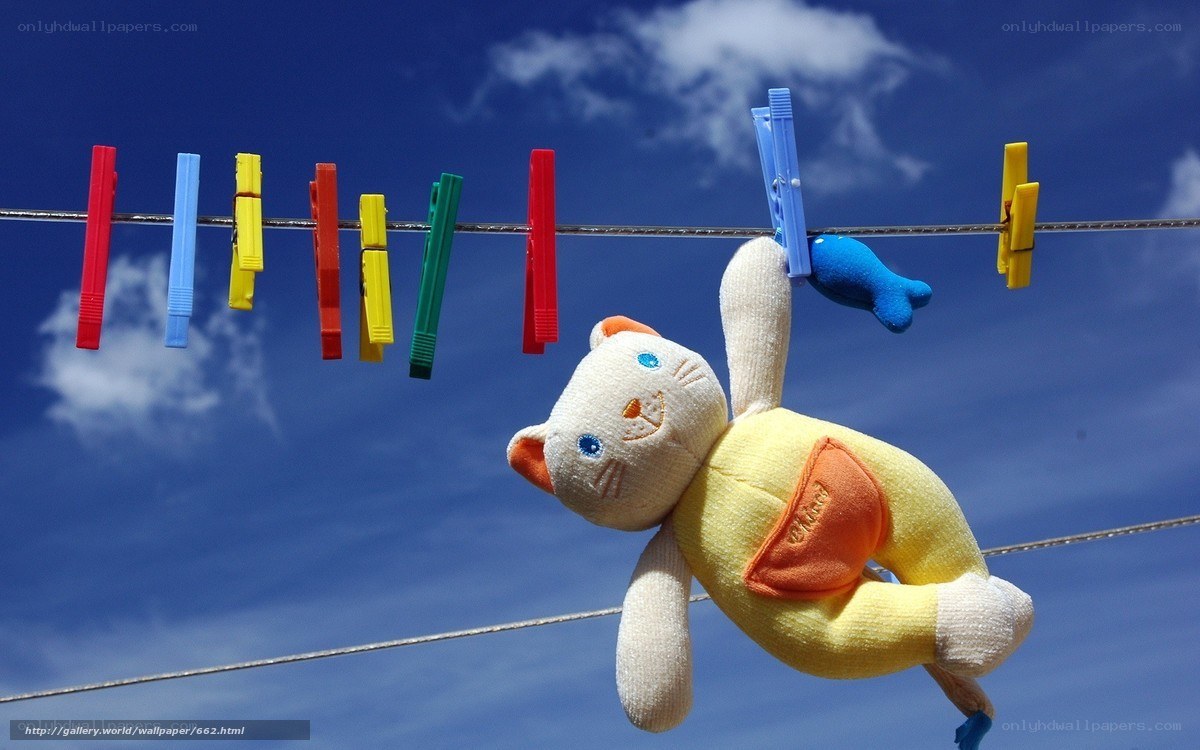 Stuffed cat on clothesline