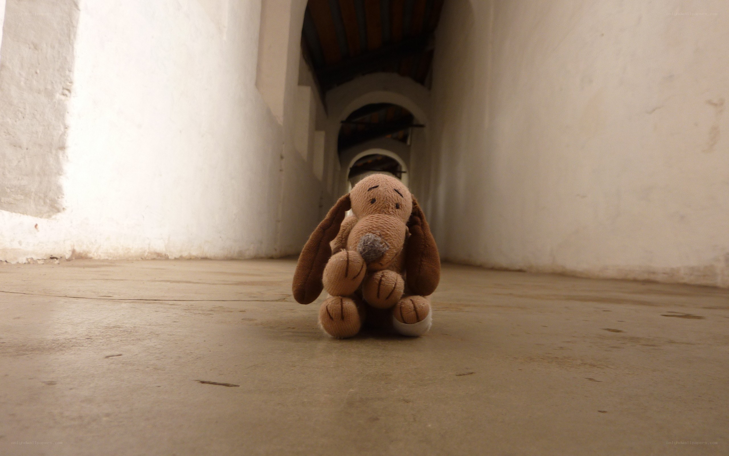 Stuffed dog in a hallway
