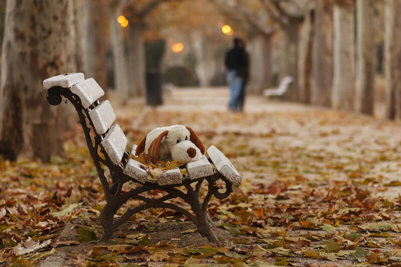 Stuffed Dog on Bench — Brown