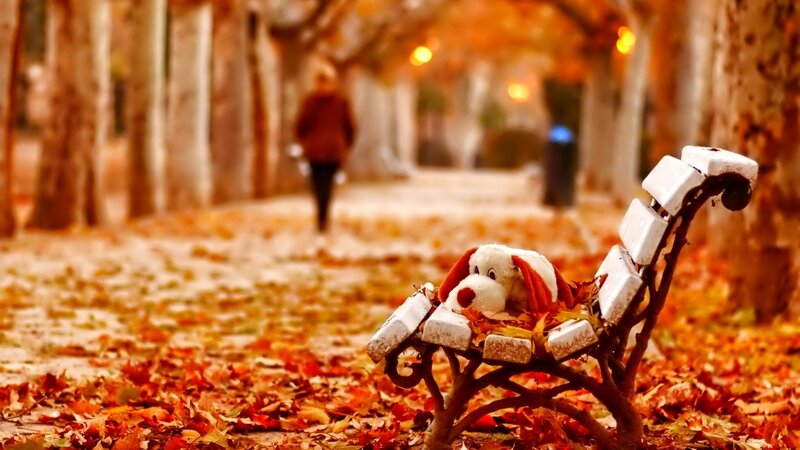 Stuffed Dog on Bench — Orange