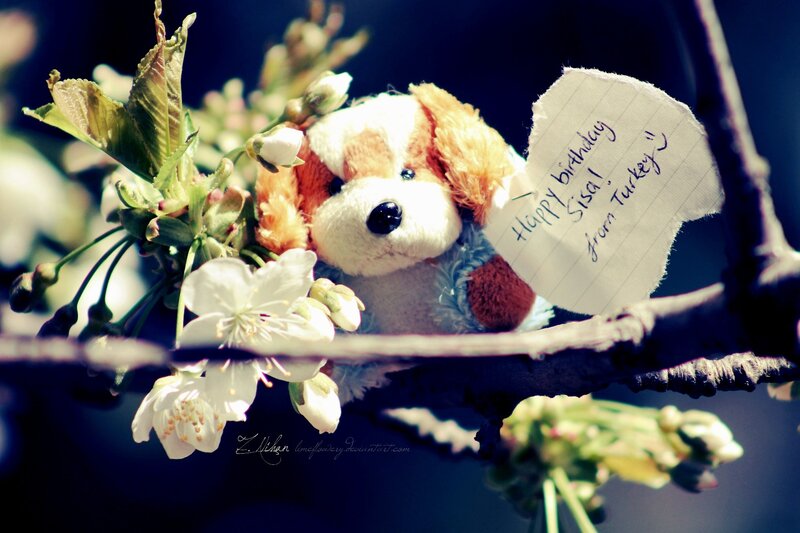 Stuffed Dog on Branch