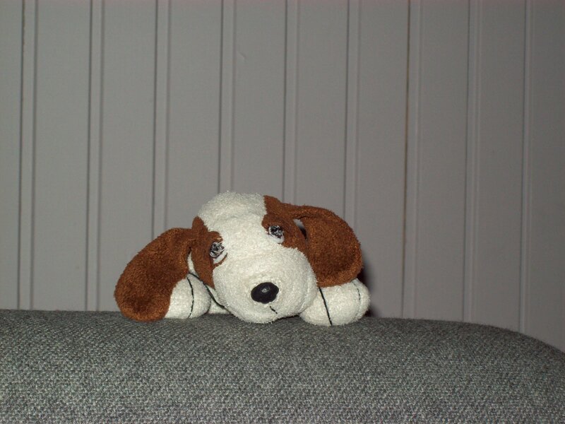 stuffed dog toy on couch