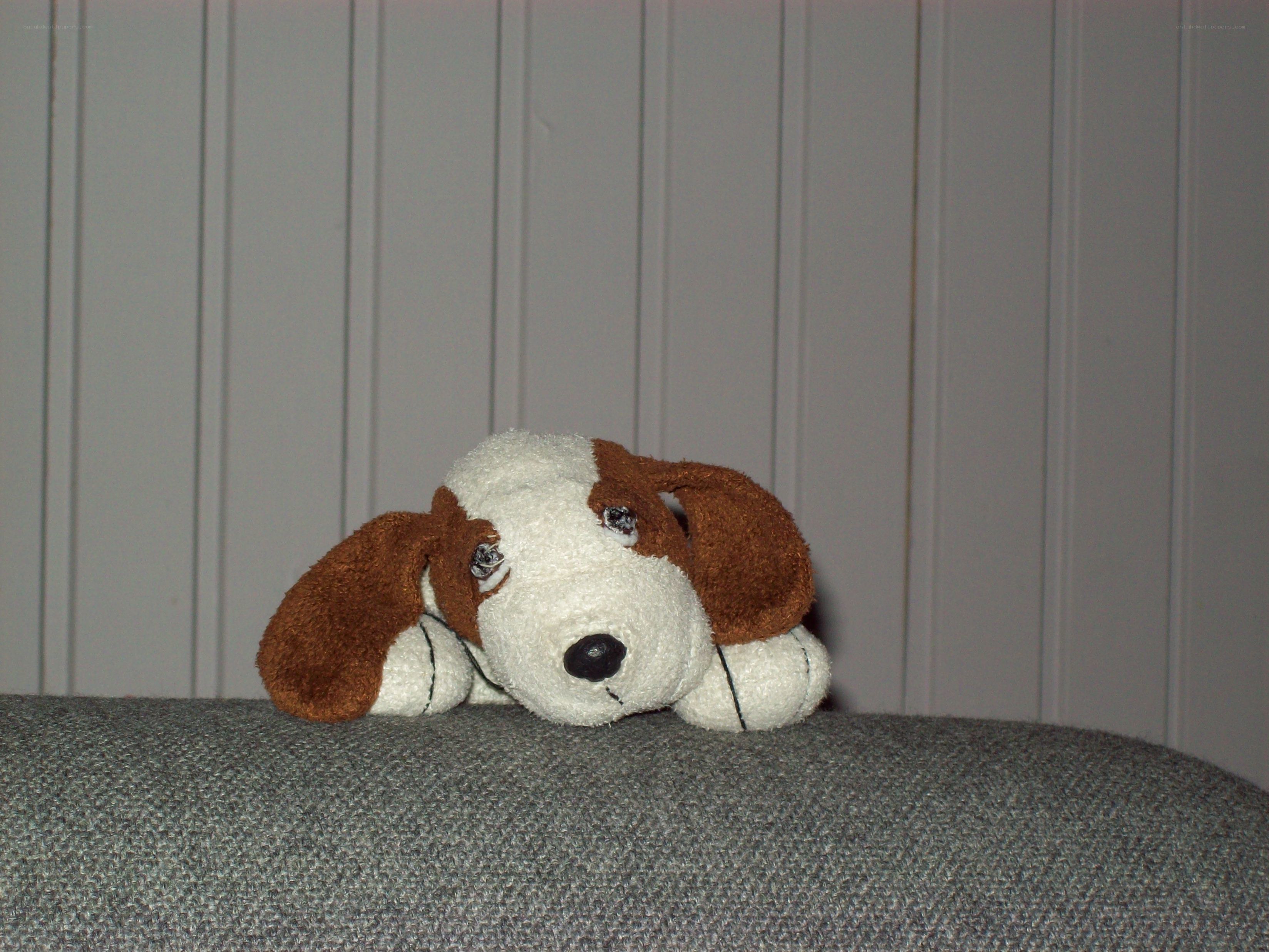 stuffed dog toy on couch