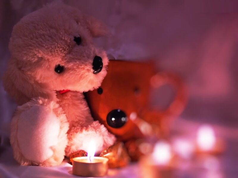 Stuffed Dog with Candle