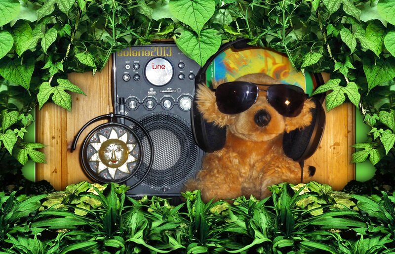 Stuffed Dog with Headphones