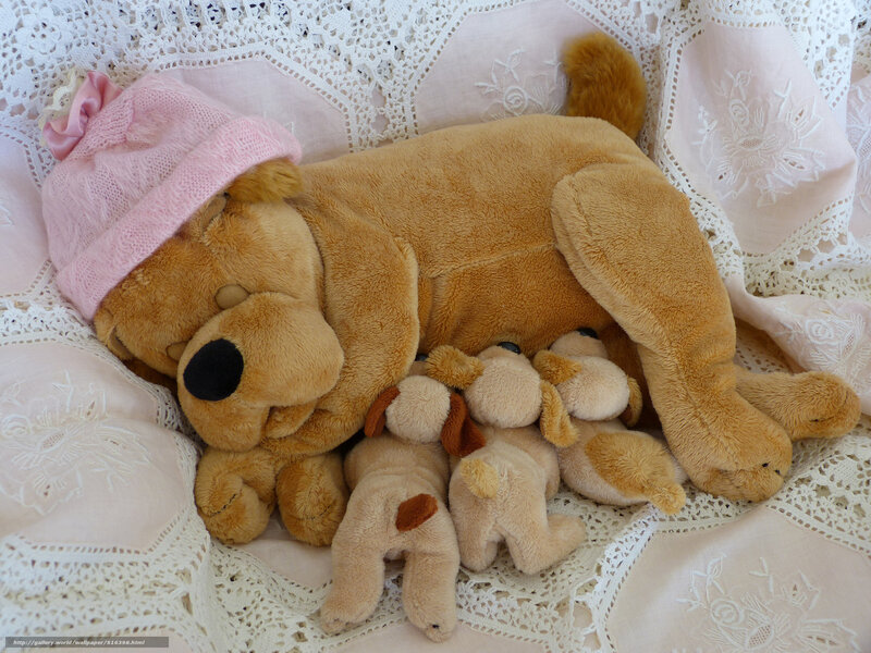 Stuffed dog with puppies