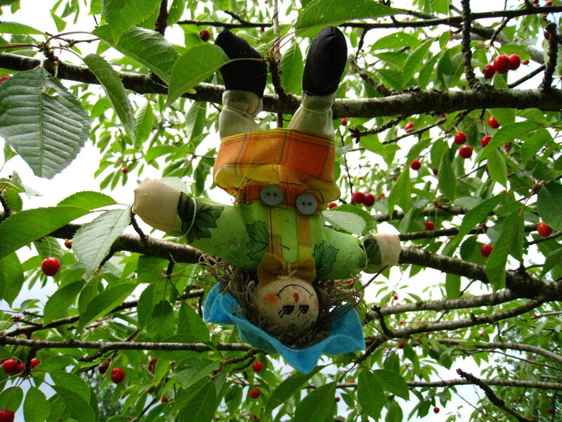 Stuffed Doll in Tree