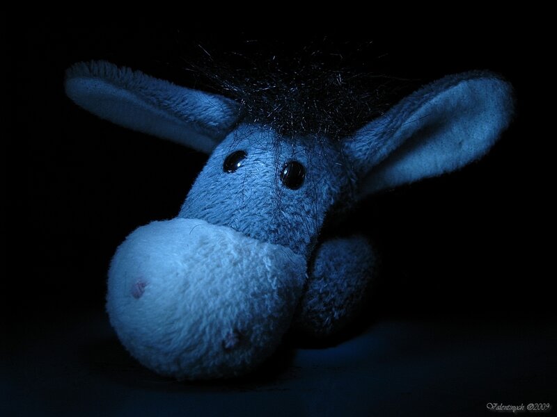Stuffed donkey in blue light