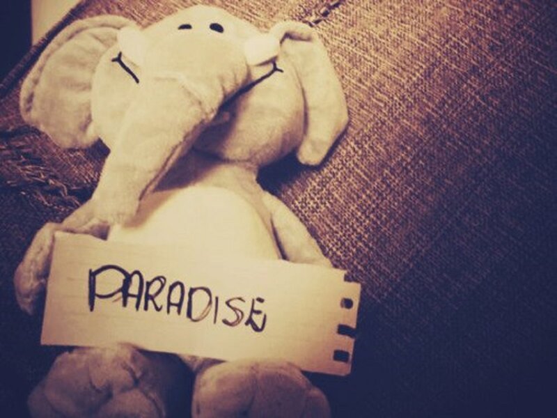 Stuffed Elephant Holding Sign