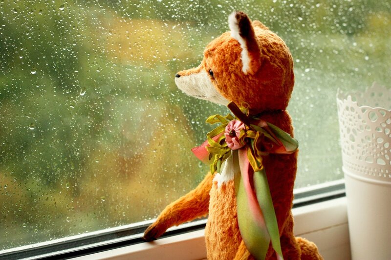 Stuffed Fox at Window