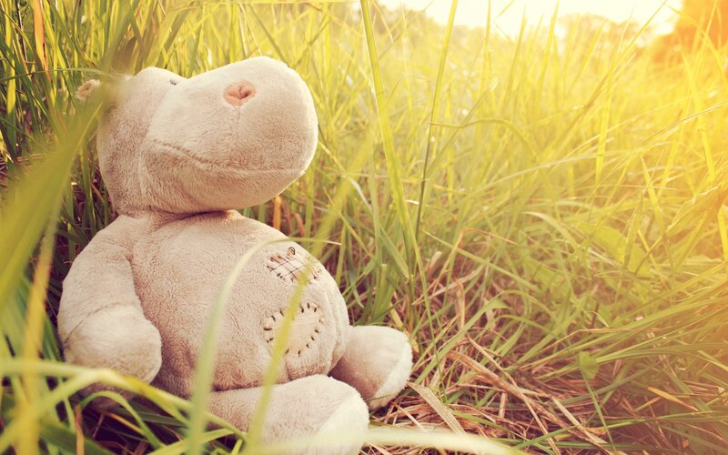 Stuffed hippo in grass