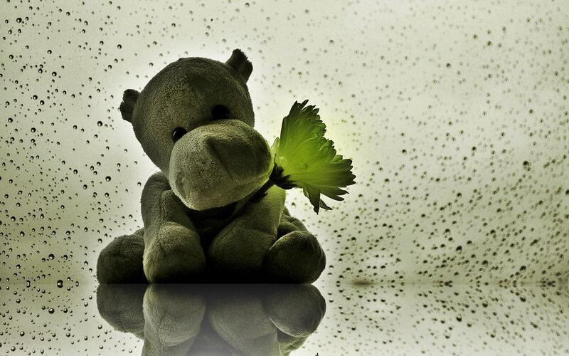Stuffed Hippo with Flower