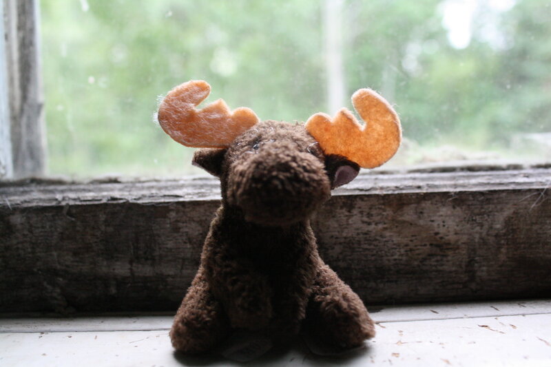 Stuffed moose on a windowsill