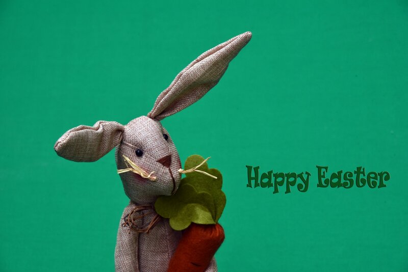 Stuffed Rabbit Holding Carrot