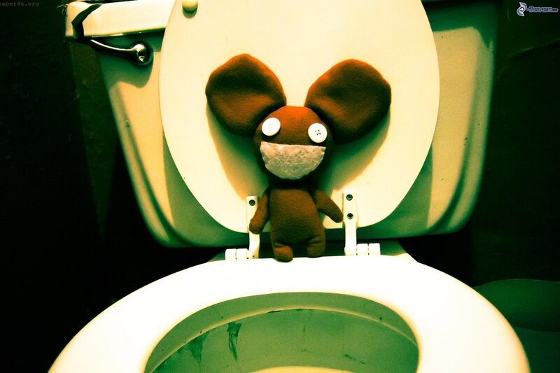 stuffed toy on toilet lid