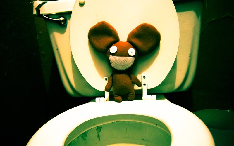 stuffed toy on toilet lid