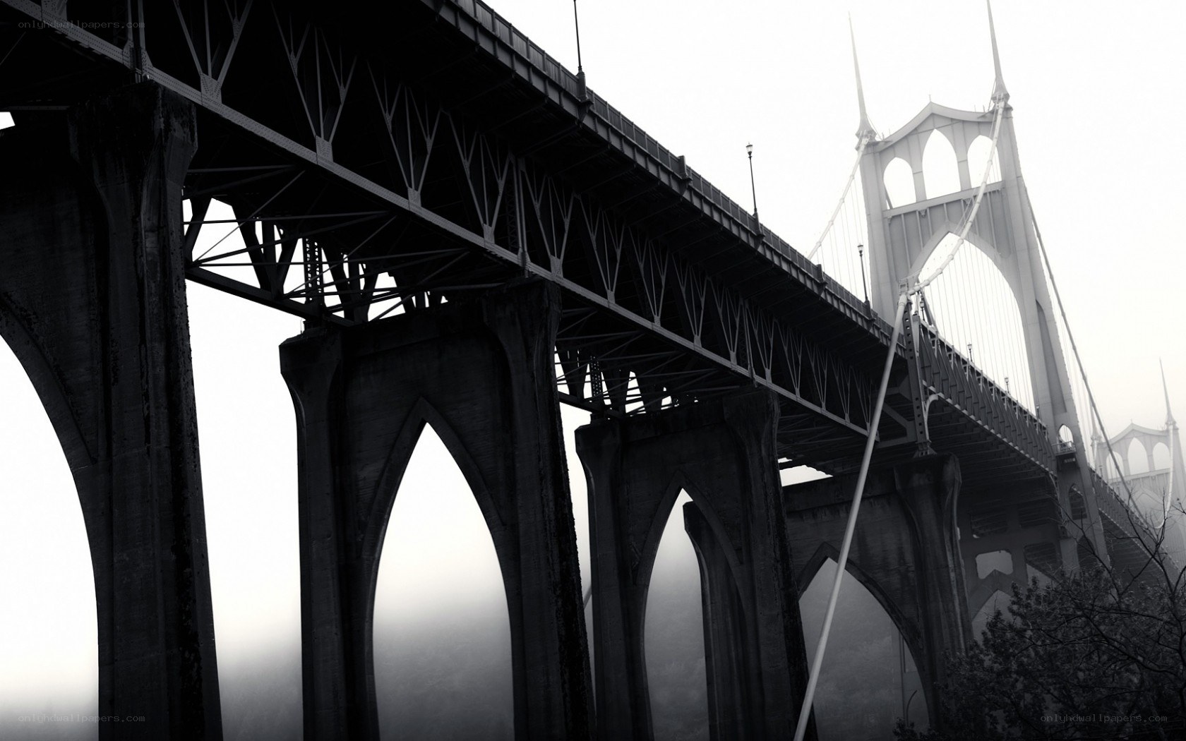 Stunning bridge in fog