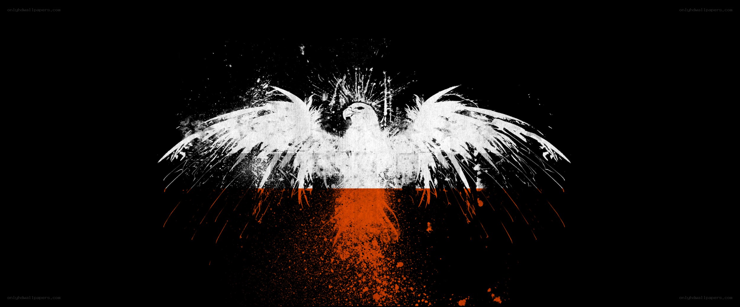 stylized eagle with flag colors