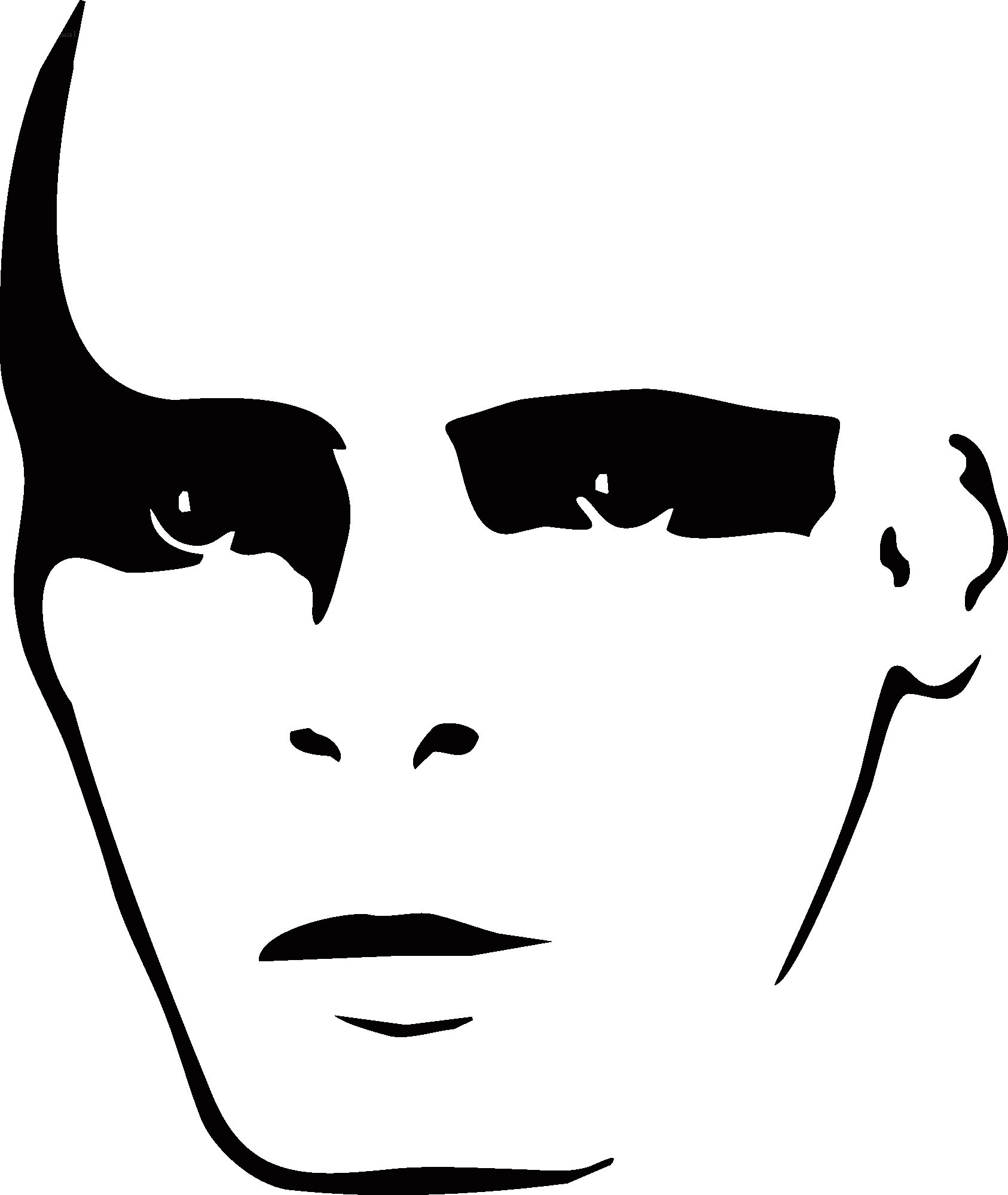 stylized face silhouette