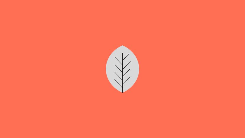 Stylized Leaf Icon