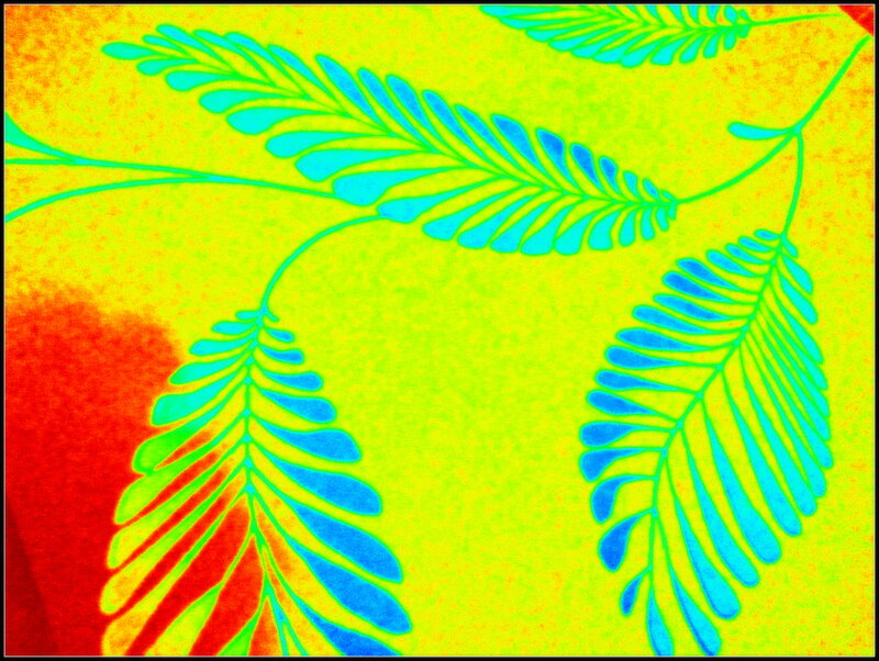Stylized Leaf Pattern