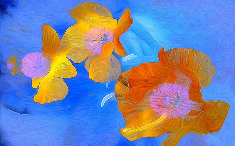 Stylized Orange Flowers