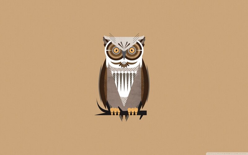 stylized owl illustration