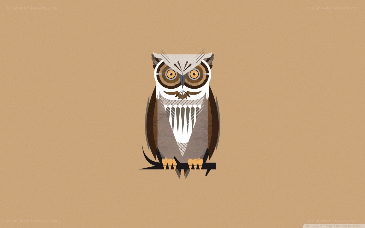 stylized owl illustration
