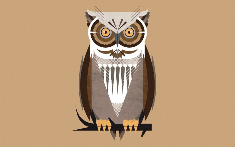 Stylized Owl Illustration — Brown
