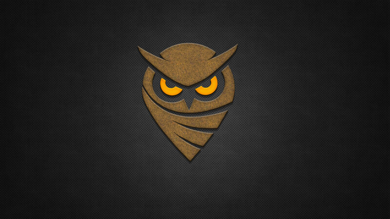 Stylized Owl Logo