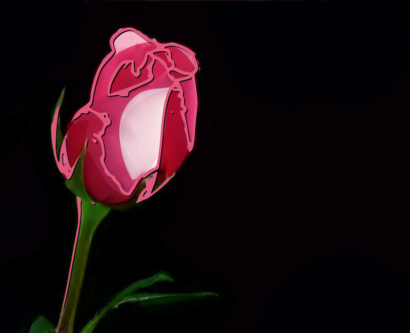 stylized pink rose