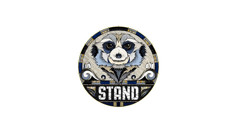 stylized raccoon logo