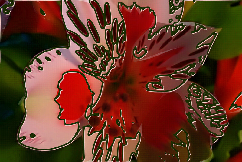 stylized red flower illustration