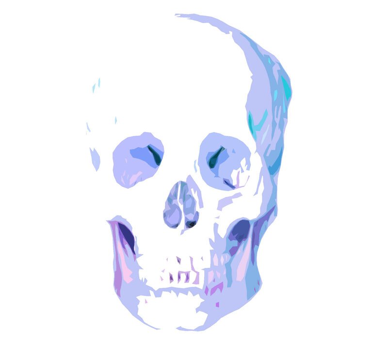 Stylized Skull Illustration — Blue