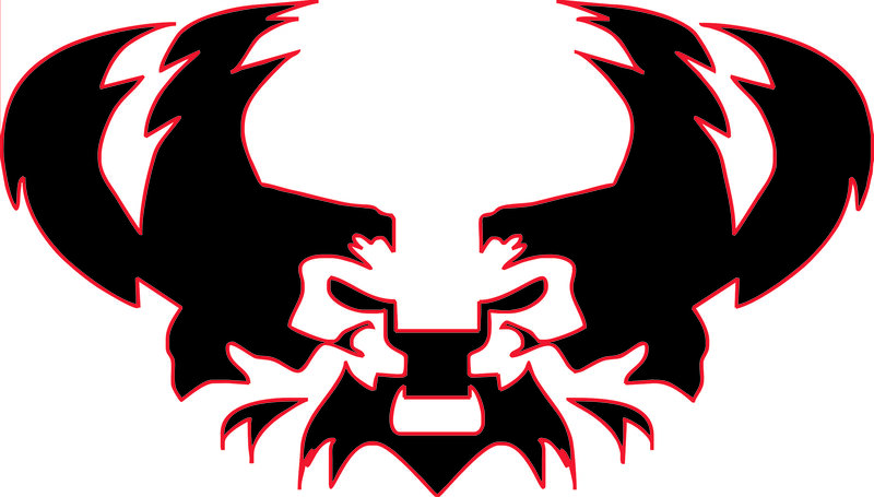 stylized skull logo