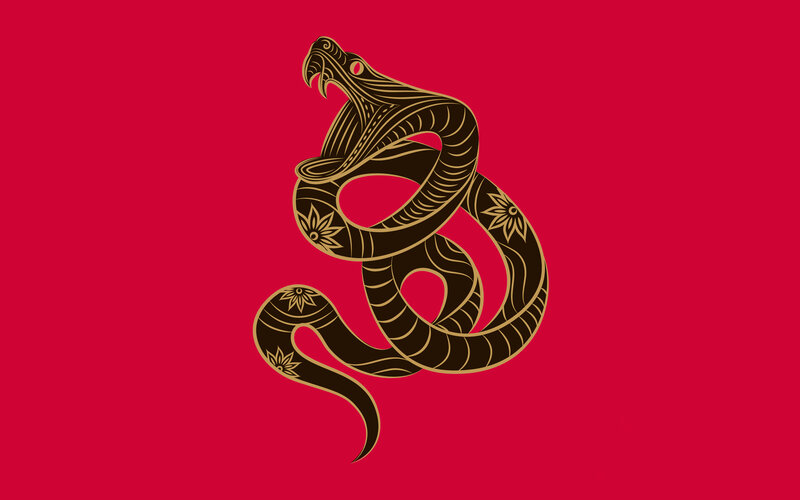 Stylized Snake Design — Red