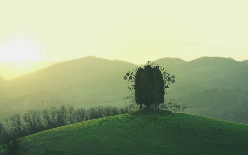 Stylized Tree on Hill — Green, Serene