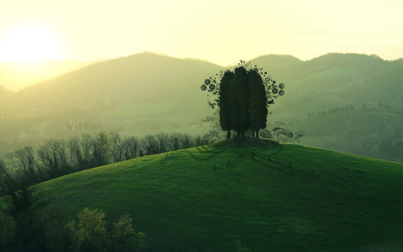 Stylized Tree on Hill — Green