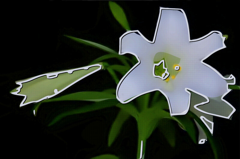 stylized white flower with green leaves