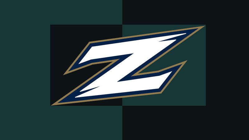 Stylized Z Logo