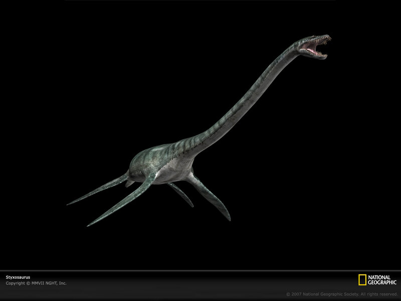Styxosaurus dinosaur illustration