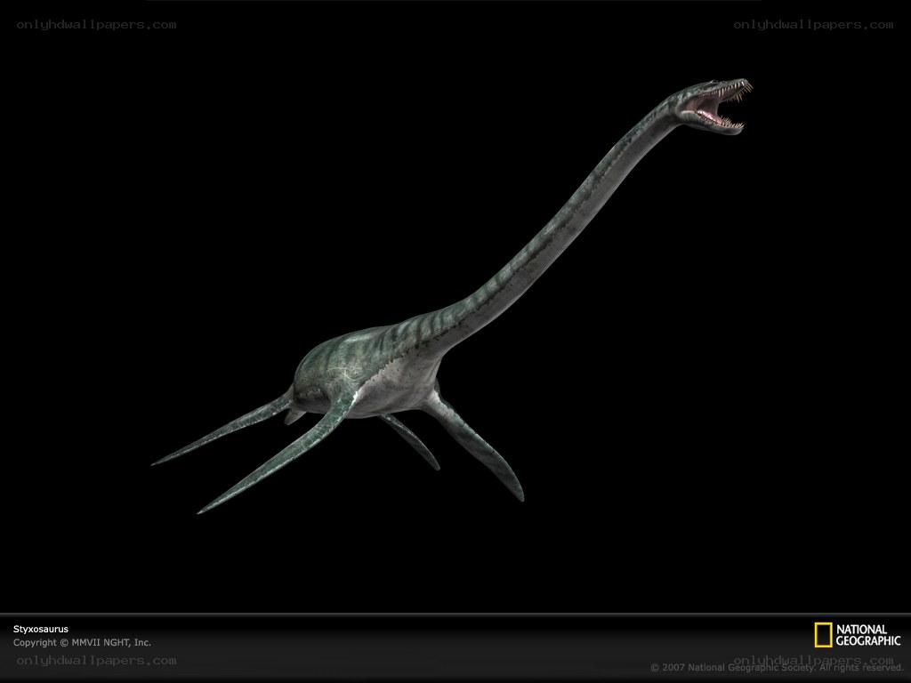 Styxosaurus dinosaur illustration