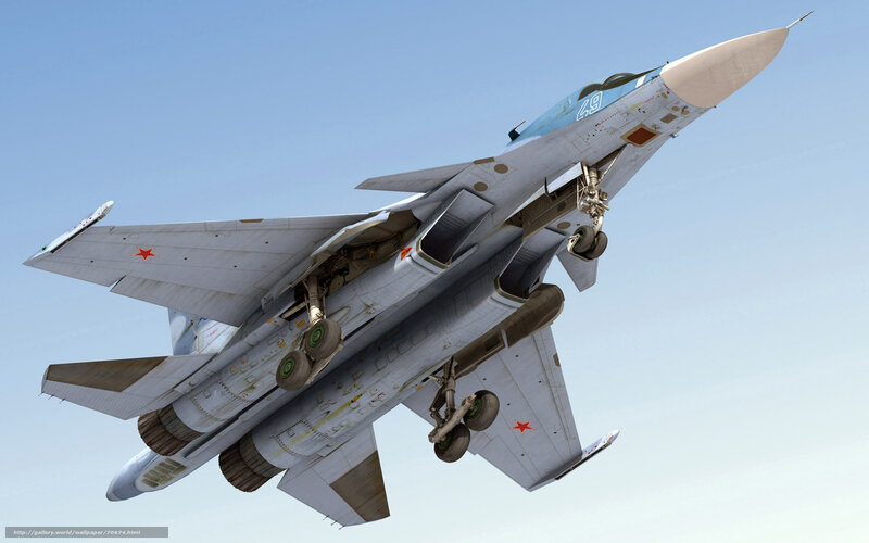 Su-27 Fighter Jet — Gray