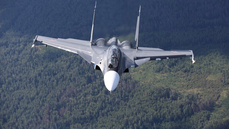Su-30 Fighter Jet — Gray, Dramatic, Afternoon, Photograph, Forest