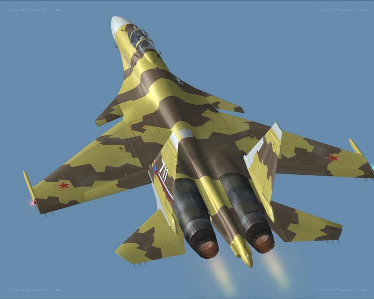Su-30 fighter jet in flight